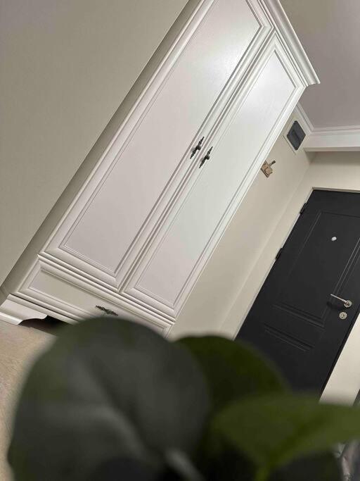 Apartament Z Timisoara Apartment Exterior photo